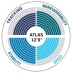 SUP Aerulaud Aqua Marina ATLAS 366x86x15 cm SUP Aerulaud Aqua Marina ATLAS 366x86x15 cm